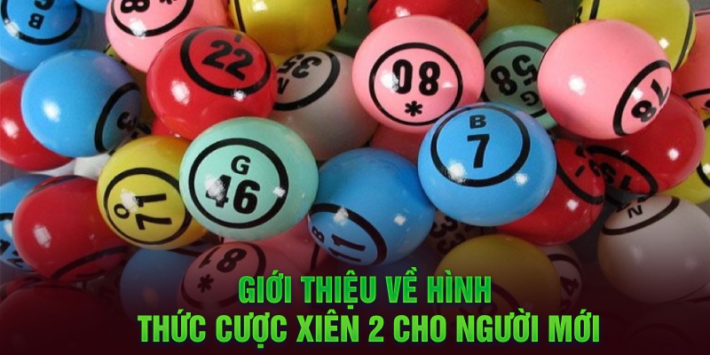 Giới thiệu về hình thức cược xiên 2 cho người mới