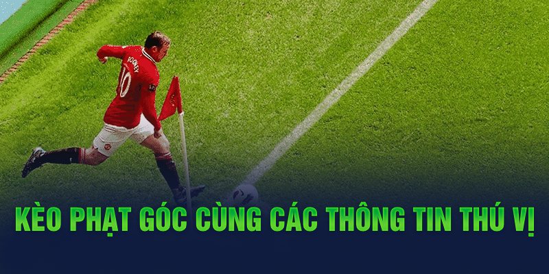 Kèo phạt góc cùng các thông tin thú vị