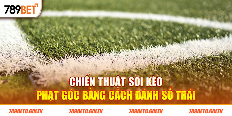 Soi Kèo Phạt Góc - Bí Kíp Giúp Mọi Người Ăn Đứt Nhà Cái