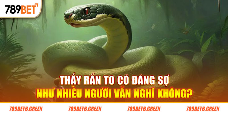 Nằm Mơ Thấy Rắn - Chốt Số Đề May Mắn Nào Để Đổi Đời