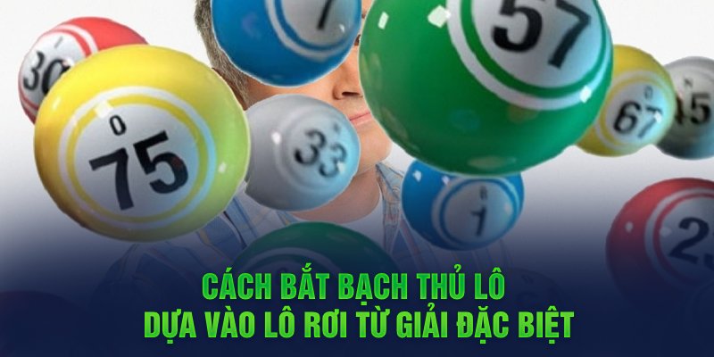 Cách bắt bạch thủ lô dựa vào lô rơi từ giải đặc biệt