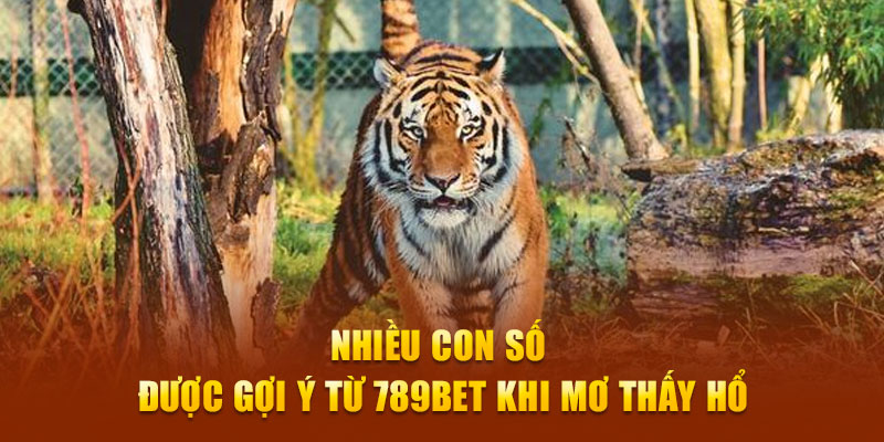 Nhiều con số được gợi ý từ 789bet khi mơ thấy hổ