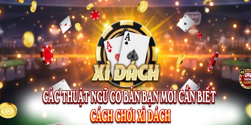 Cách Chơi Xì Dách - Mách Người Mới Các Mẹo Hay Để Thắng 